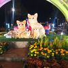 nucuoilanh133