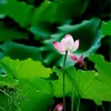tuyennguyenbn93