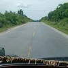 vietvo248