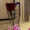 mylifeasnisha_k