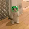 notnameso0