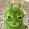 anton_antonn_