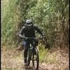 jaimeleal8