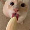 bananaahouse