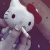 ng.tt2455