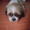 jackka11032527