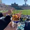 tigers__08