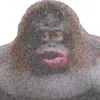 speacetk