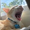 yyyyyy_zz
