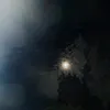 e6533963
