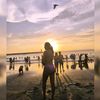 novaalesol