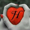 user56852319413182