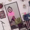Khải Như