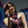 hiakupanda