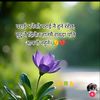 ankitbk26