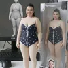 amyrmaria