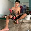 Hình sự vùng C