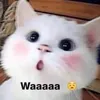 tammie_153