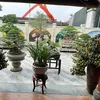 phandung586