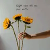 quetie000