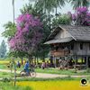 amalina959