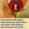ercandaglı