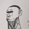 dc_des00