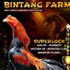bintangfarm02