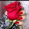 zahratalbilsan35