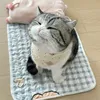 _quynhnek172_