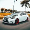 lexi_customforged