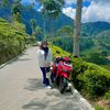 dewiimaulidia97