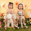 lylunglinh2000