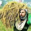 ngetehasyu77