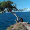 www.poponnakathury