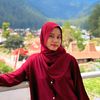 danis.id
