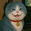 hhtrws