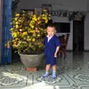 mythanh_mebill