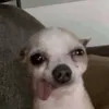 ubreeehhhh