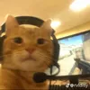 ednamoe_1134