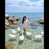 lilly_phiratrak8
