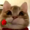 thanhthuyy2412