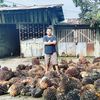 marcosurbakti02