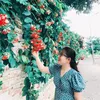 ngoc_khanh029