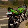 farizal_nov