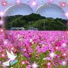 aggashi2