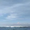 riezqyshoul