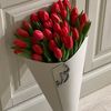 noura.s.al