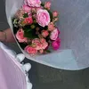 coletta_brh