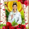chrysanthemum535